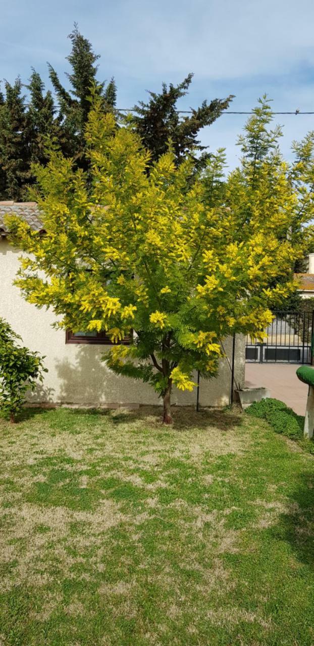 Hotel Longo Mai Arles Exterior foto